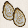Handgemaakte oyster kralen onderzetter van My Marble